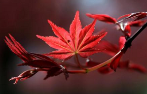 短信群發(fā)平臺(tái)-企業(yè)選擇短信營銷的好處！