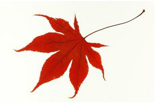 短信群發(fā)平臺(tái)到底安全嗎？