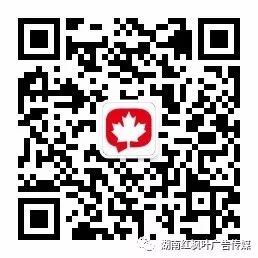 紅楓葉傳媒 紅楓葉傳媒